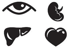 20151110-1-common-organ-transplants