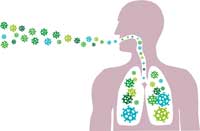 Who Are Vulnerable To Swine Flu?